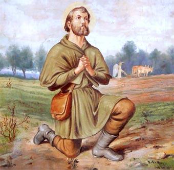 Paradojas y aberraciones en la politíca europea sobre transgénicos