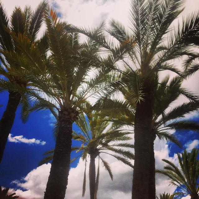 Primer día...EBFW...