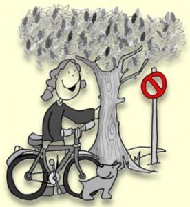 Desencadenantes del asma. Foto: AEPap