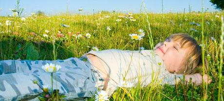 Pólenes. Foto: euroallergy.com