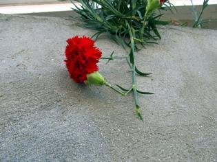 Clavel sobre Concreto