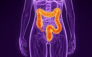 Trasplante de heces para curar la diarrea