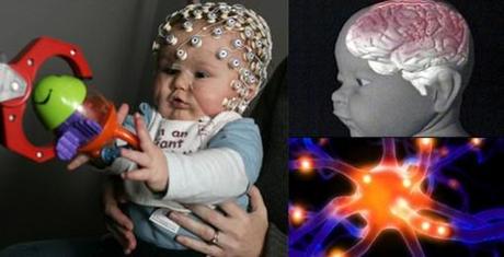 El cerebro del bebé: cuándo aparece la conciencia