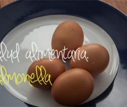 Salmonella