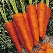 betacoretno El betacaroteno, la zanahoria, el bronceado y la pro vitamina A  