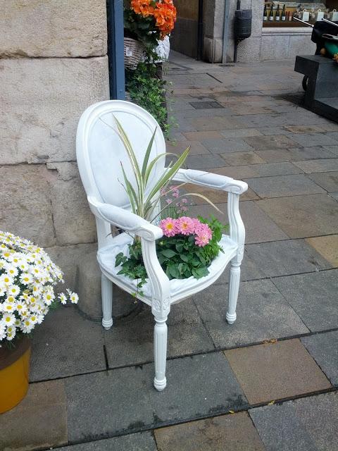 Mayo tiempo de Flores   /     Flowers in May Time