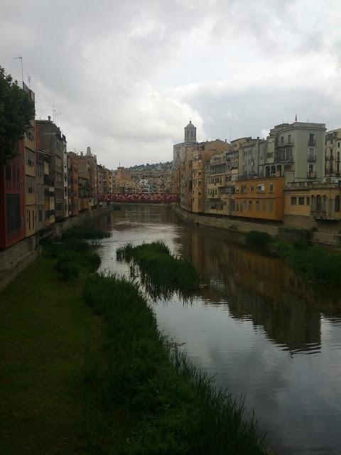 Mayo tiempo de Flores   /     Flowers in May Time
