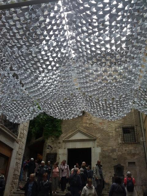 Mayo tiempo de Flores   /     Flowers in May Time