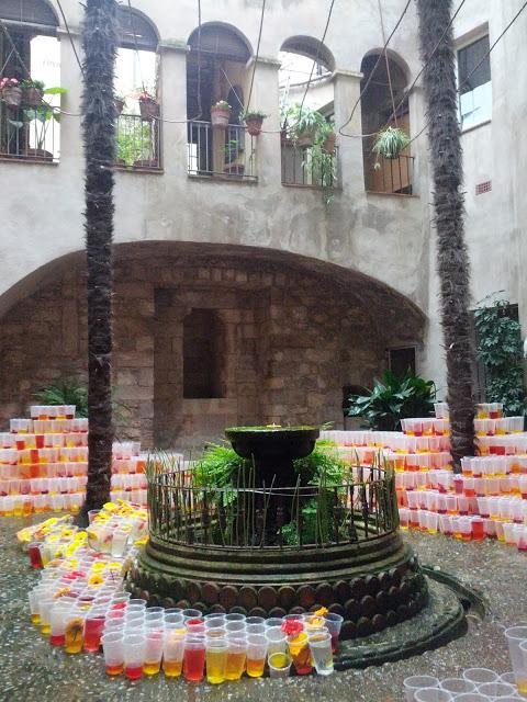 Mayo tiempo de Flores   /     Flowers in May Time