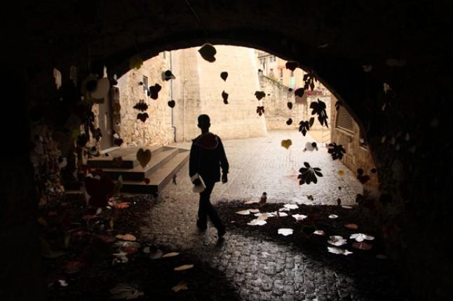 Mayo tiempo de Flores   /     Flowers in May Time