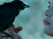 'Kauwboy', niño busca amar amado