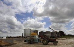 La cotización del maíz bajó el martes en Chicago