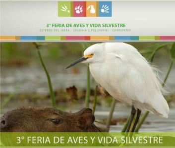 3era Feria de Aves Corrientes Argentina