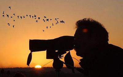 SEO/BirdLife firma un acuerdo con la Administración para promocionar España como destino de turismo ornitológico