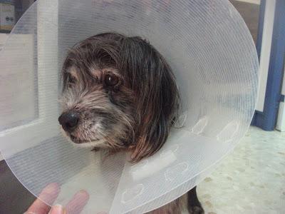 MUY URGENTE!! , Nano ¿no existe nadie para él?‏