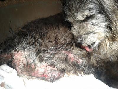 MUY URGENTE!! , Nano ¿no existe nadie para él?‏