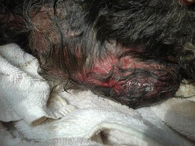 MUY URGENTE!! , Nano ¿no existe nadie para él?‏