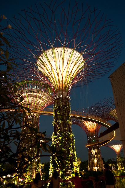Gardens By The Bay