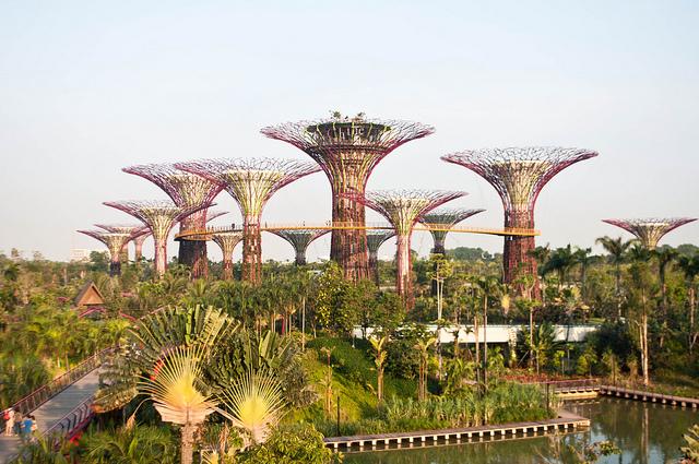 Gardens By The Bay