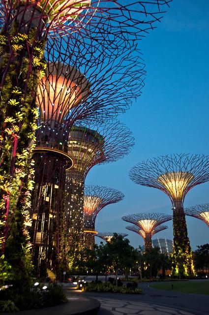 Gardens By The Bay