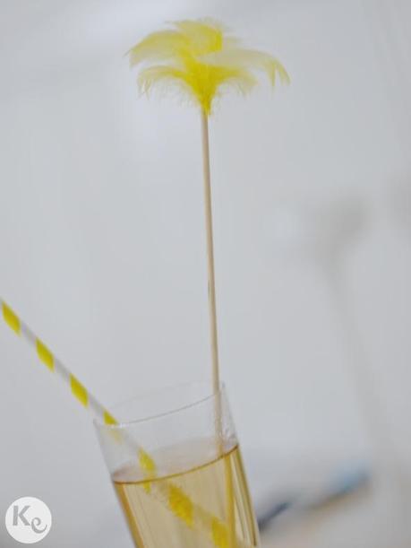 a-kiss-of-colour-diy-removedores-de-plumas-05