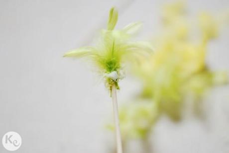 DIY #108. Removedores con plumas/Feathered cocktail stirrers a-kiss-of-colour-diy-removedores-de-plumas-02