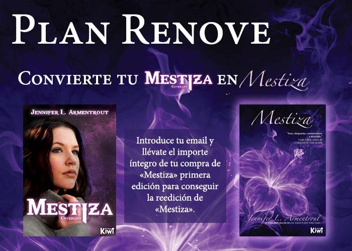 Plan renove Mestiza
