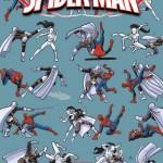 Marvel Universe Ultimate Spider-Man Nº 14