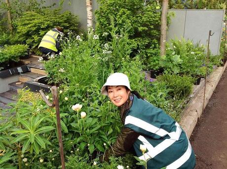 CHELSEA FLOWER SHOW 2013. Élite de la horticultura, la jardinería y el paisajismo real CHELSEA FLOWER SHOW 2013. Élite de la horticultura, la jardinería y el paisajismo real