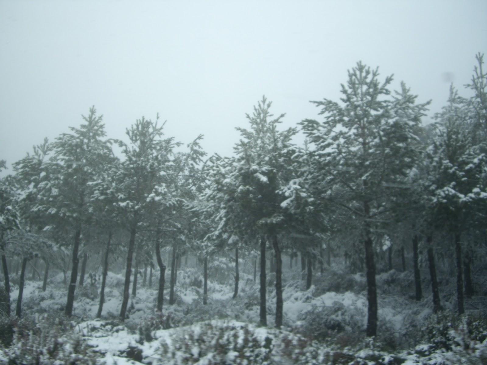 De ruta por el Bierzo!!!!