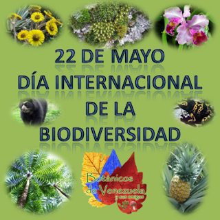 Día internacional de la Biodiversidad 2013