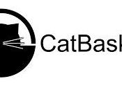 CatBasket Design