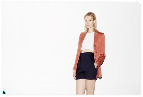 Lookbook-de-Zara-mayo-20136