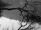 Progressive. death. metal