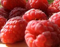 frambuesas 2 Frambuesas para adelgazar y mucho más….