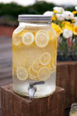 Limonada Dispenser Ideas Picnic