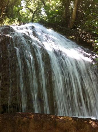 IMG 2259 343x460 Ruta por el Monasterio de Piedra