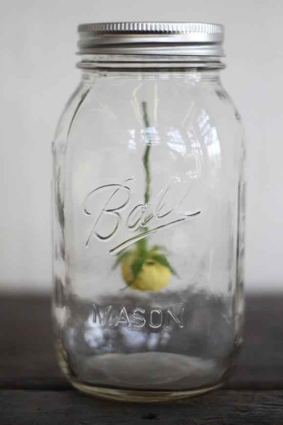 DIY: Un poco de decoración exprés