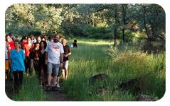 Vacaciones de Verano 2013