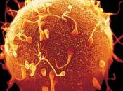 puede ganar dinero donación Semen?