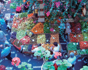 turismo gastronomico responsable