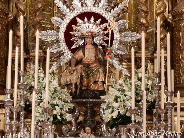 Galería de fotos del Triduo y Besamanos a la Divina Pastora