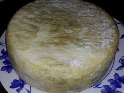 Cata de quesos de Extremadura con Ibericoworld