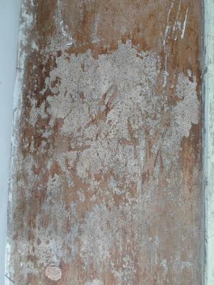 Veladuras Cromáticas (Antes/Después)