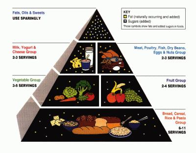 Food_Pyramid