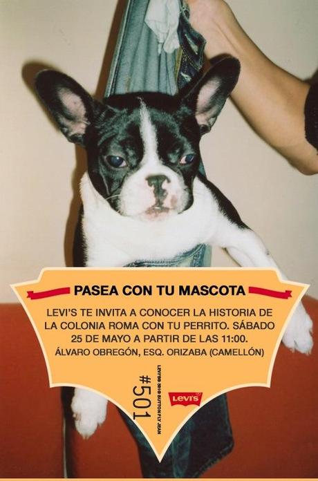 Levi’s #501 // Corredor Roma-Condesa flyer_perrito_v2