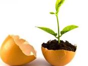 huevos vegetales están aquí