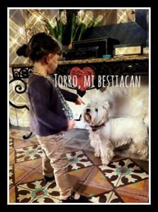 torro Blogstar al habla