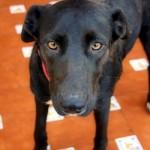 LEELA nadie se fija en ella‏.