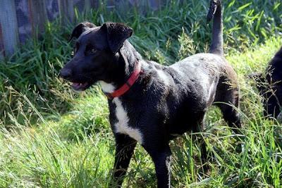 LEELA nadie se fija en ella‏.